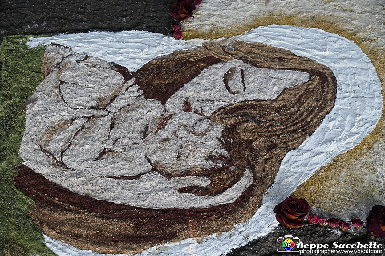 VBS_9943 - Infiorata Santuario della Madonnina di Villanova d'Asti 2024.jpg